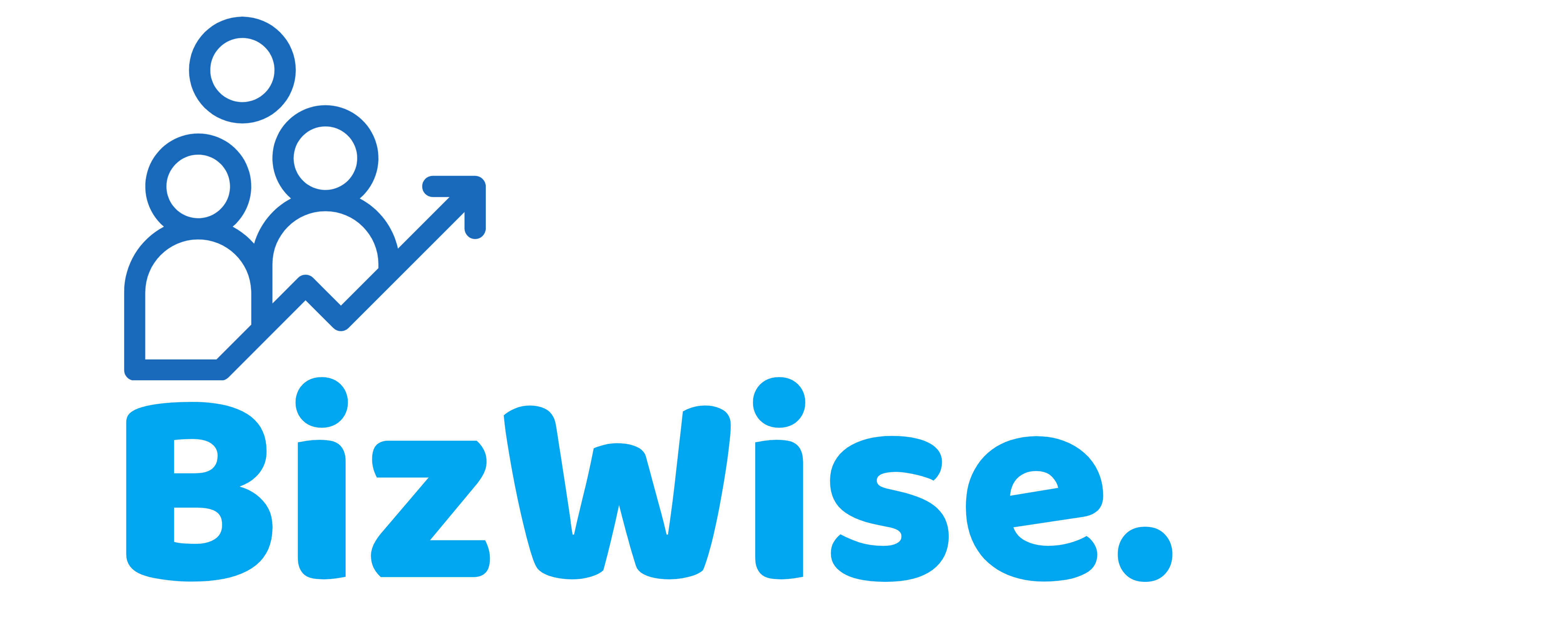 BIZWISE